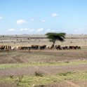 TZA ARU Nanja 2016DEC23 RoadA104 004 : 2016, 2016 - African Adventures, Africa, Arusha, Date, December, Eastern, Month, Nanja, Places, Tanzania, Trips, Year